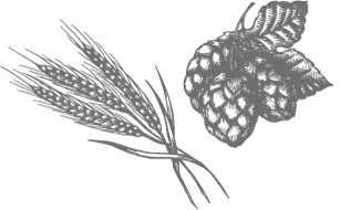 Prodej piva Prostějov Prodej piva Prostějov